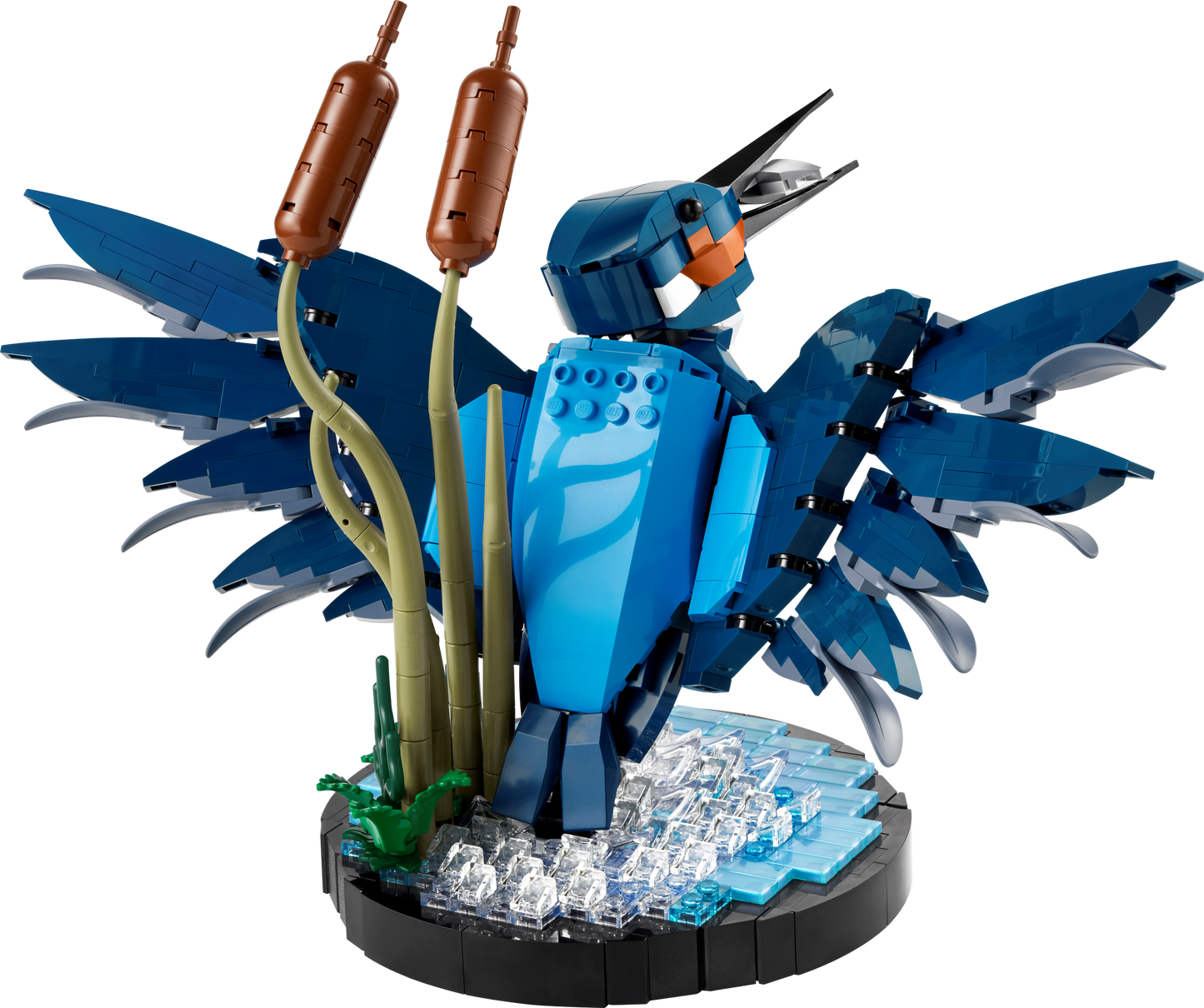 10331 - Kingfisher Bird