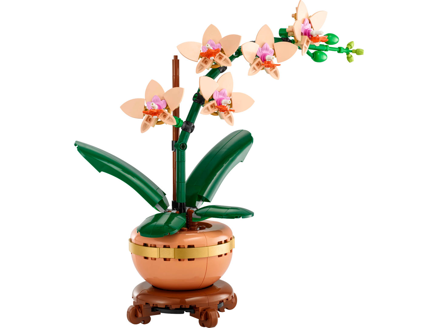 10343 Mini Orchid