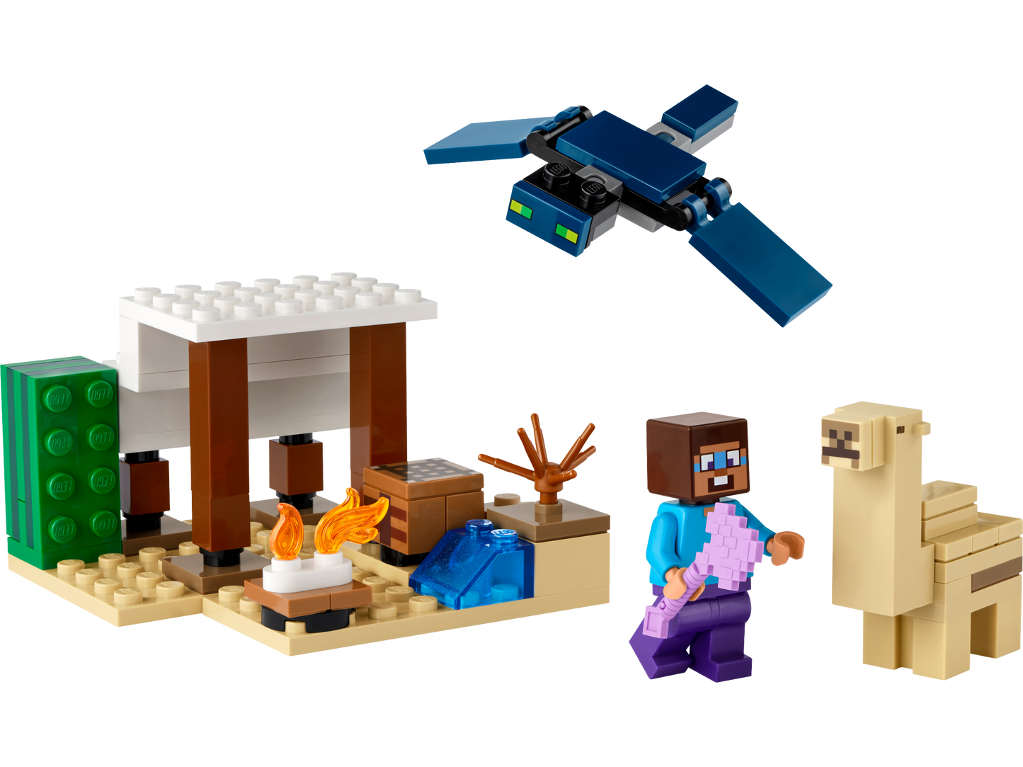 21251 - Steve's Desert Expedition