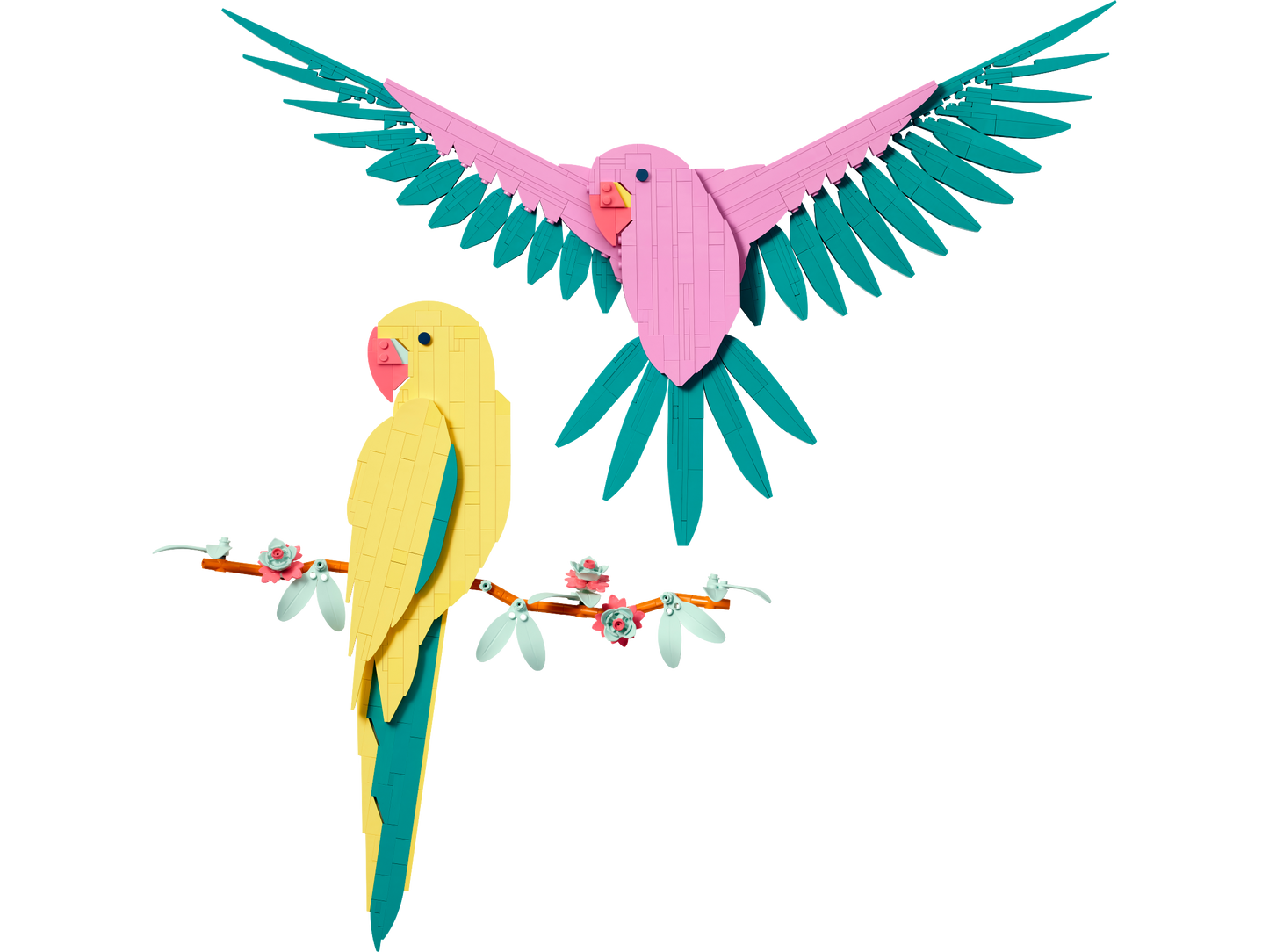 31211 - The Fauna Collection - Macaw Parrots (R)