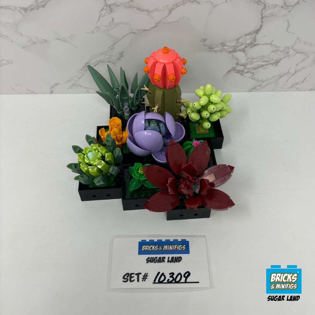 10309 - Succulents (U)