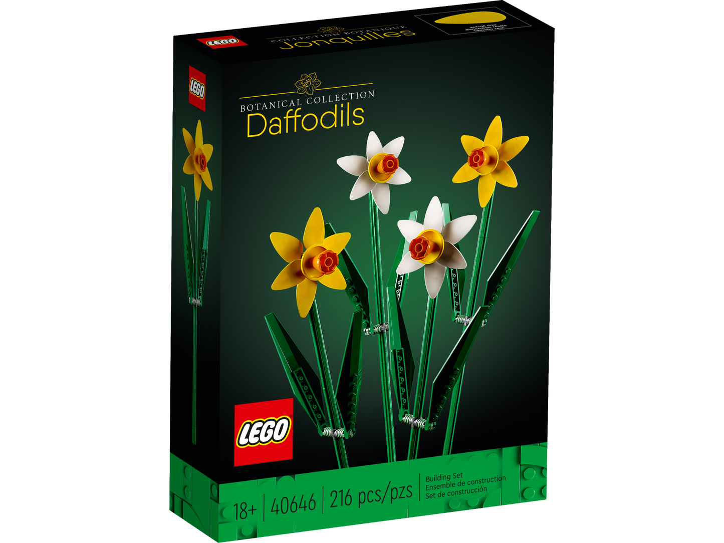 40646 - Daffodils (R)