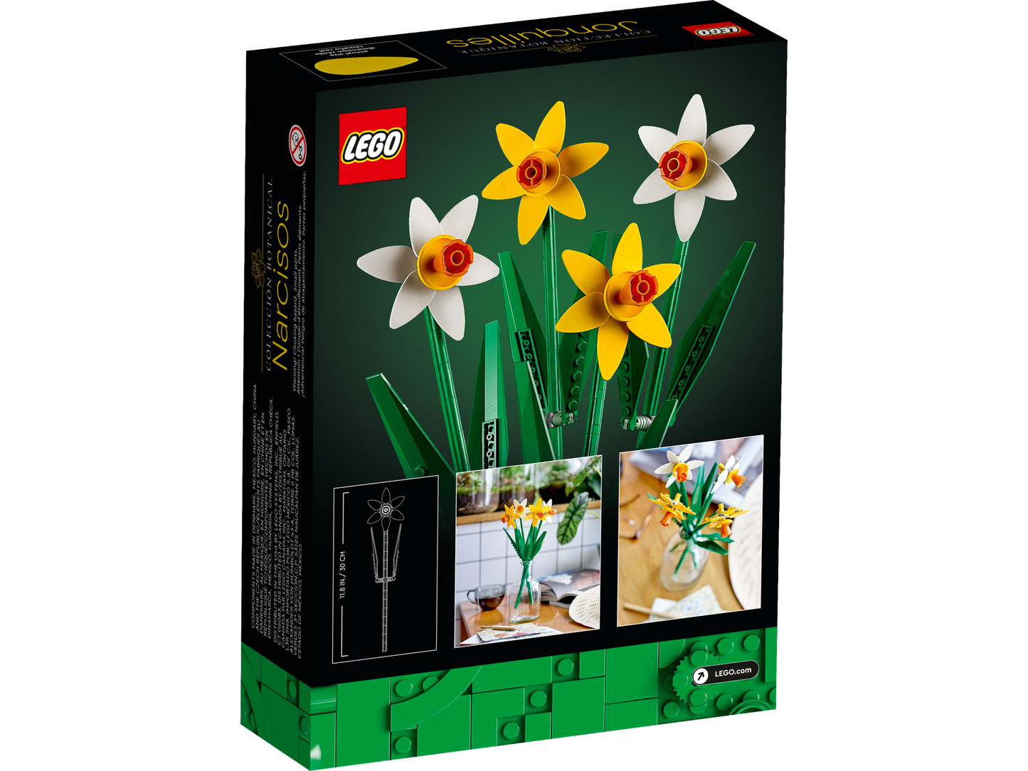 40646 - Daffodils (R)