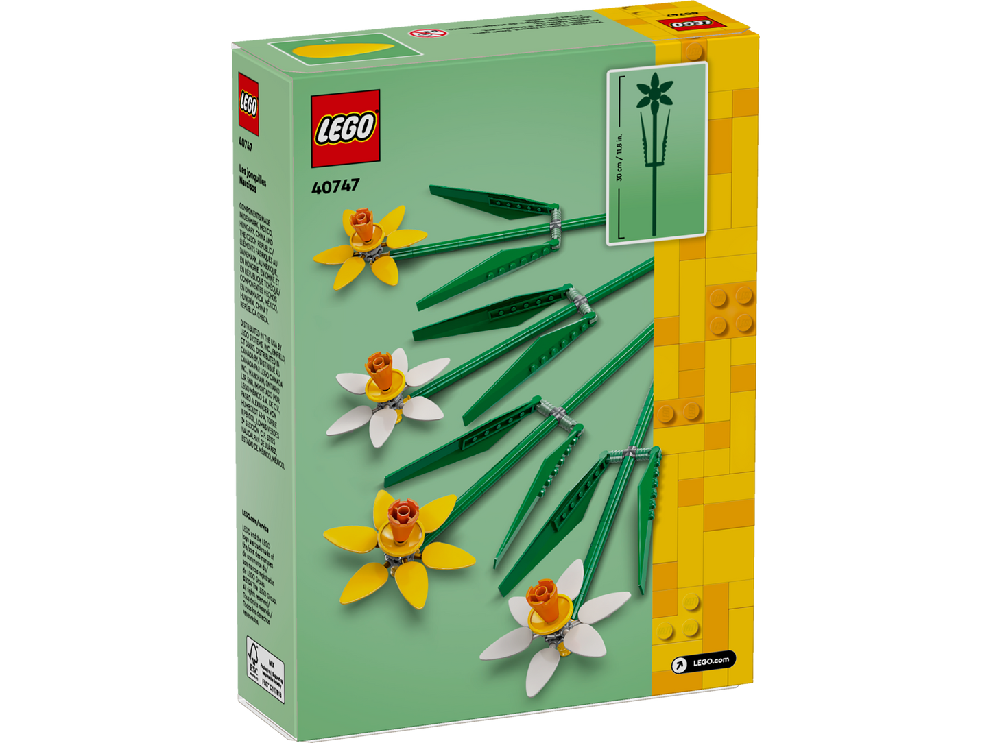 40747 Daffodils