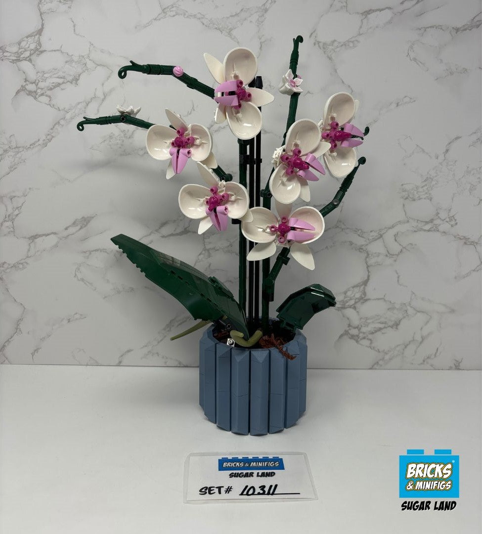 10311 - Orchid (U)