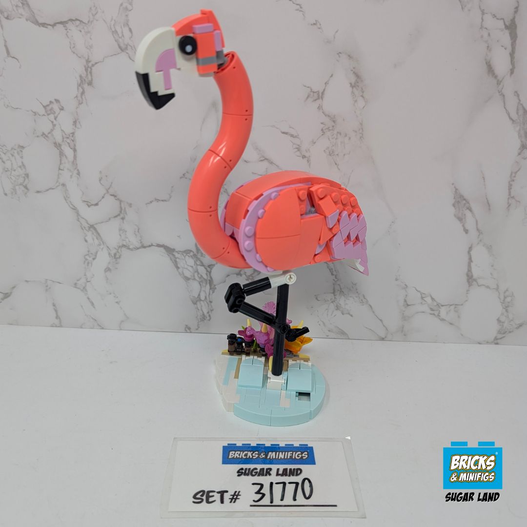 31170 - Pink Flamingo (U)