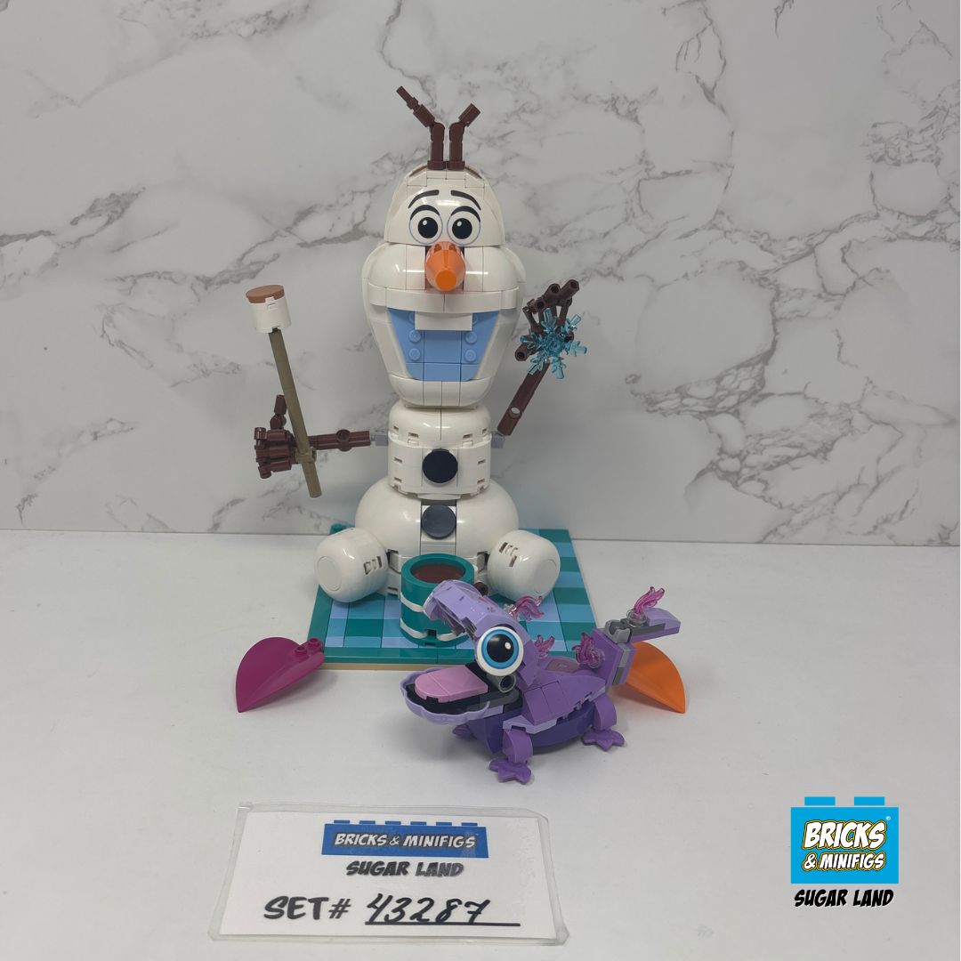 43287 - Olaf and Bruni's Picnic Fun (U)