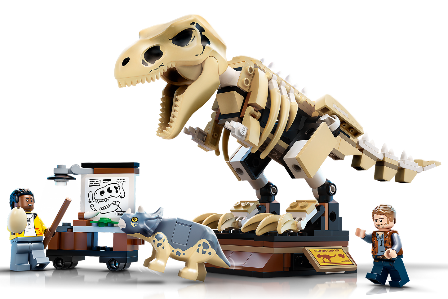 76940 - T. rex Dinosaur Fossil Exhibition (R)