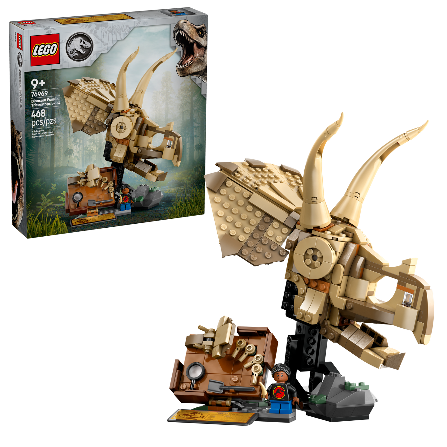 76969 Dinosaur Fossils: Triceratops Skull