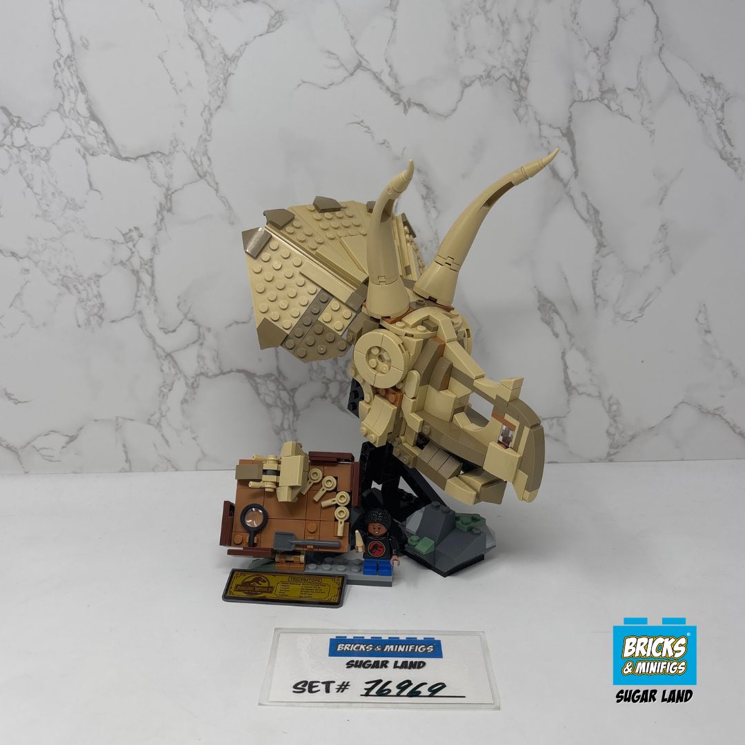 76969 - Dinosaur Fossils: Triceratops Skull (U)