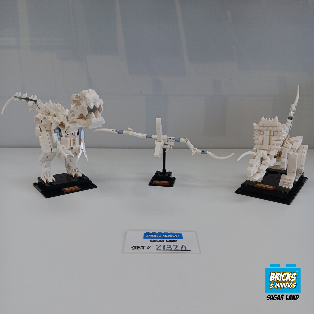 21320 - Dinosaur Fossils (U1)