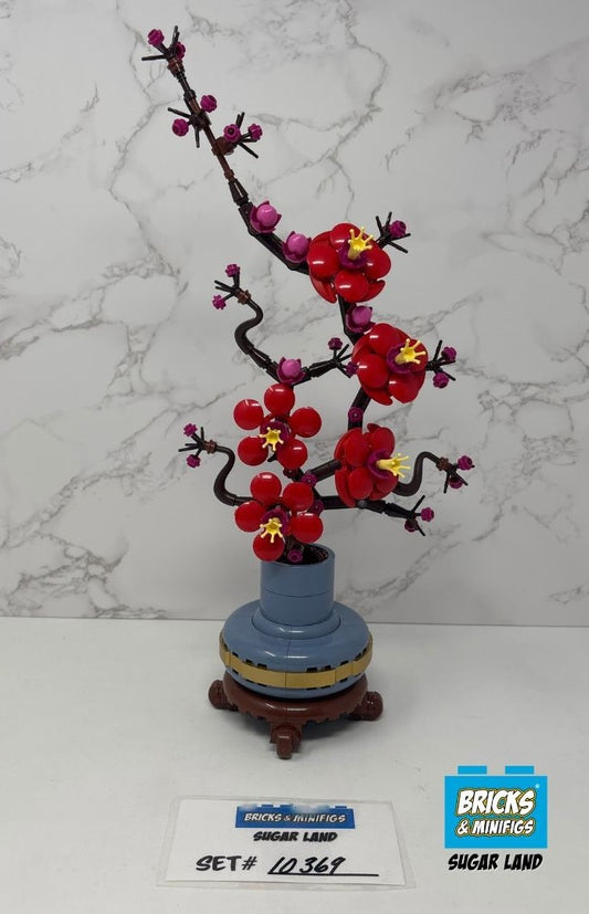 10369 - Plum Blossom (U)