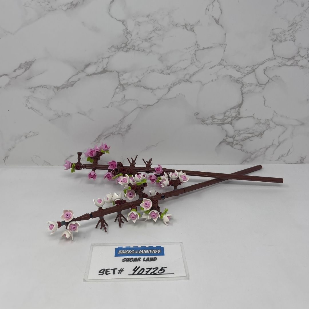 40725 - Cherry Blossoms (U)