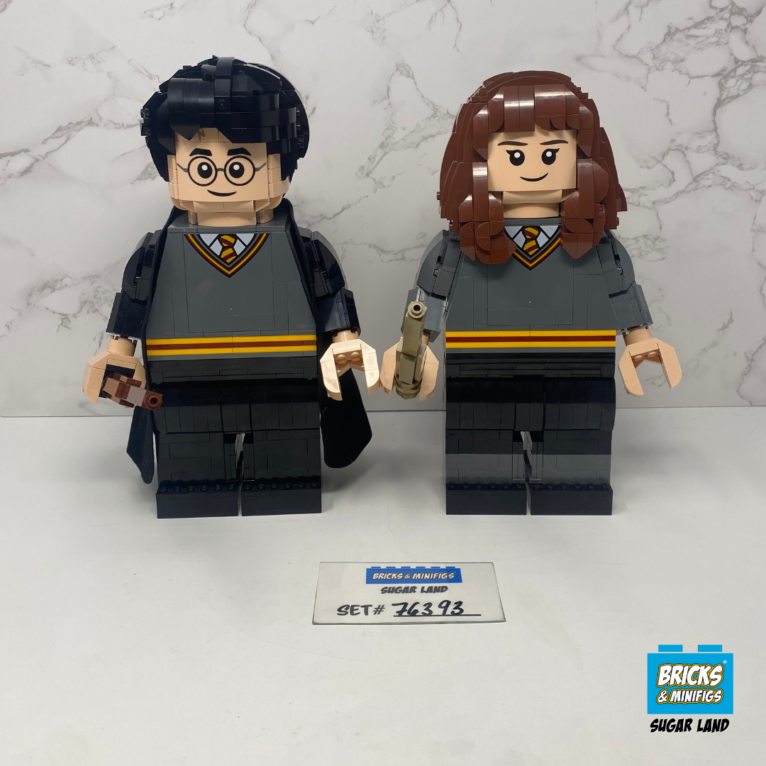76393 - Harry Potter & Hermione Granger (U)