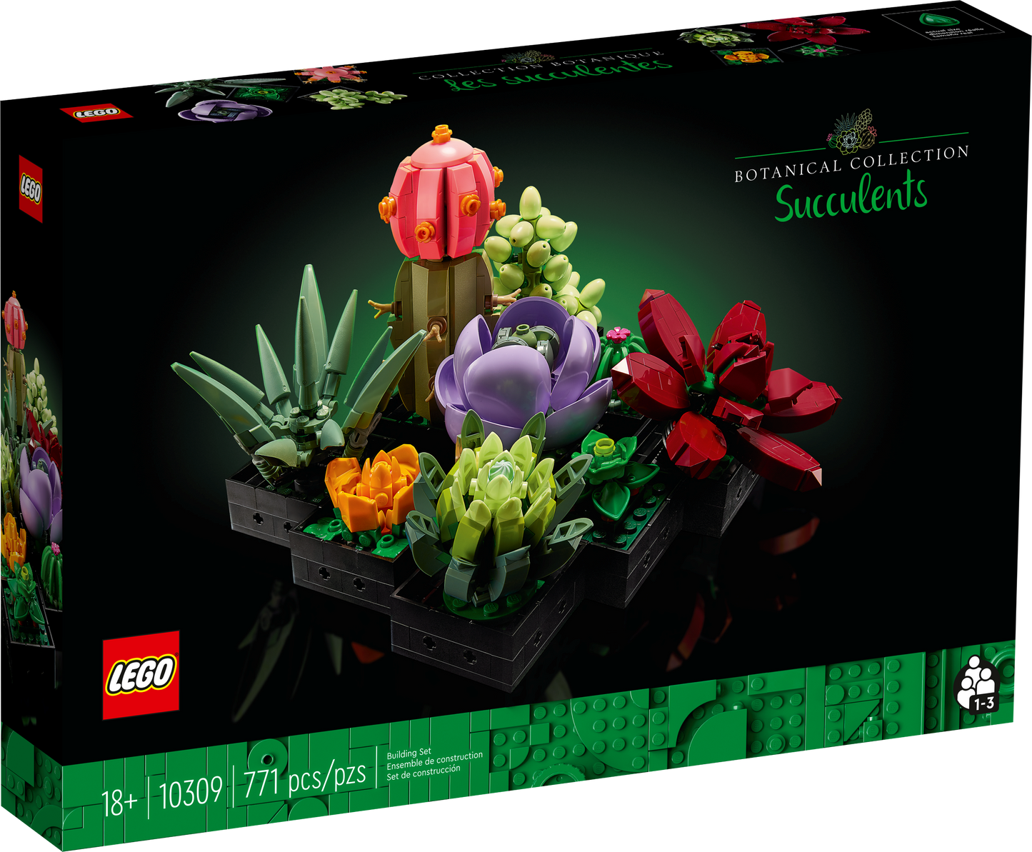 10309 Succulents