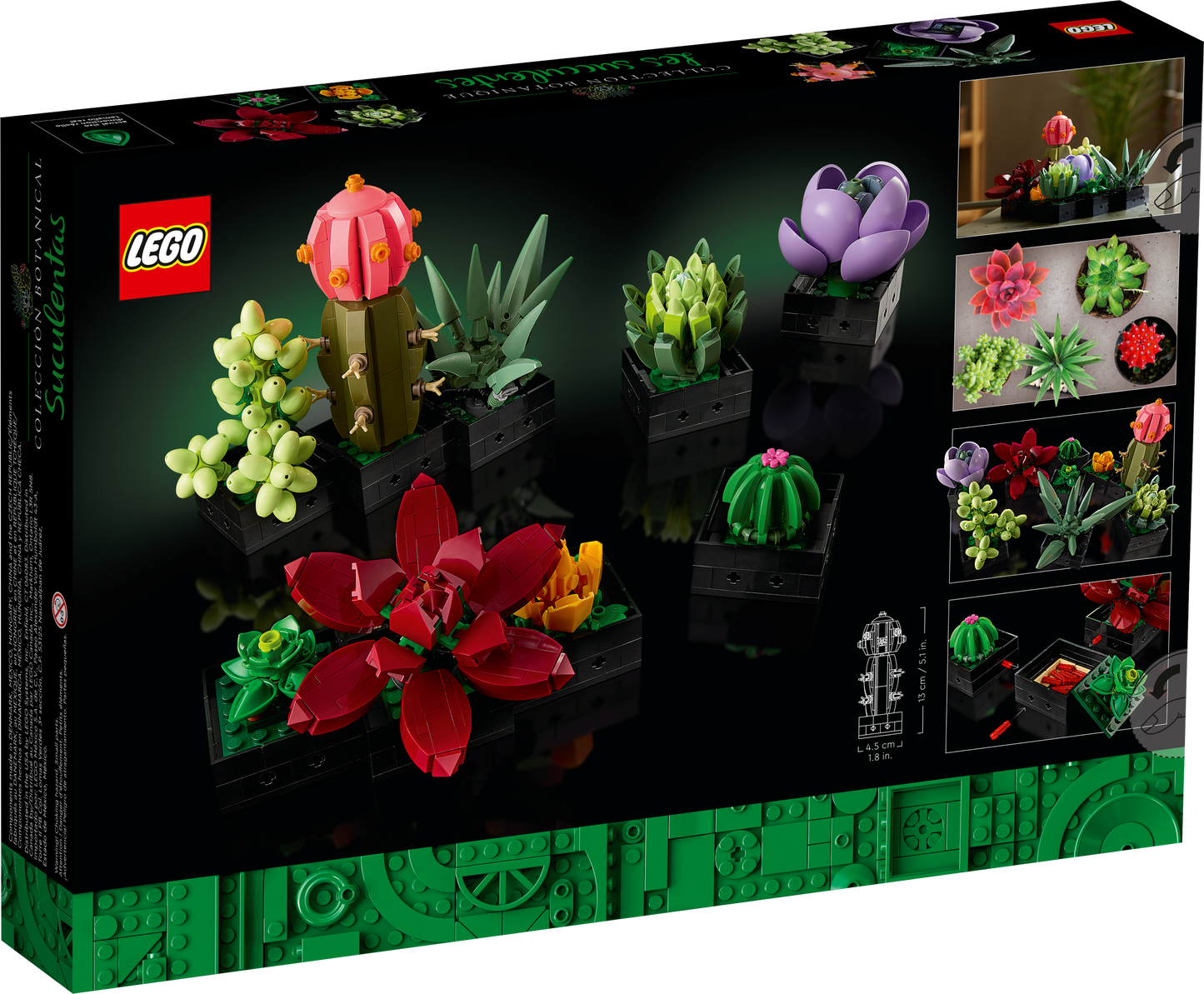 10309 Succulents