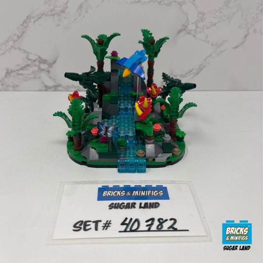 40782 - Tropical Rainforest Diorama (U)