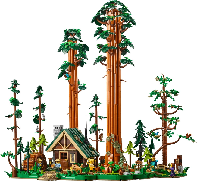 910058 - Sequoia Tree Trail