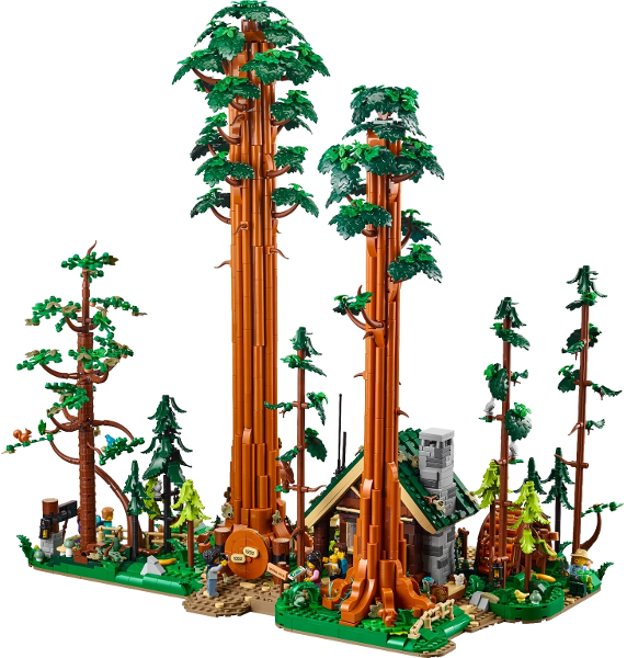 910058 - Sequoia Tree Trail
