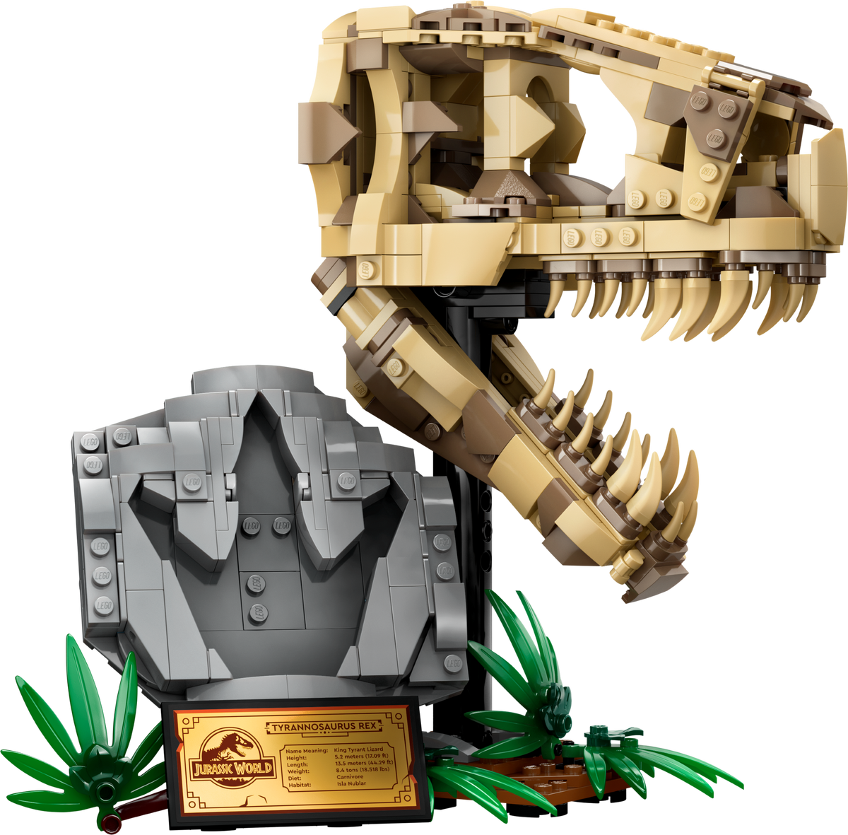 76964 - Dinosaur Fossils: T. rex Skull (R)