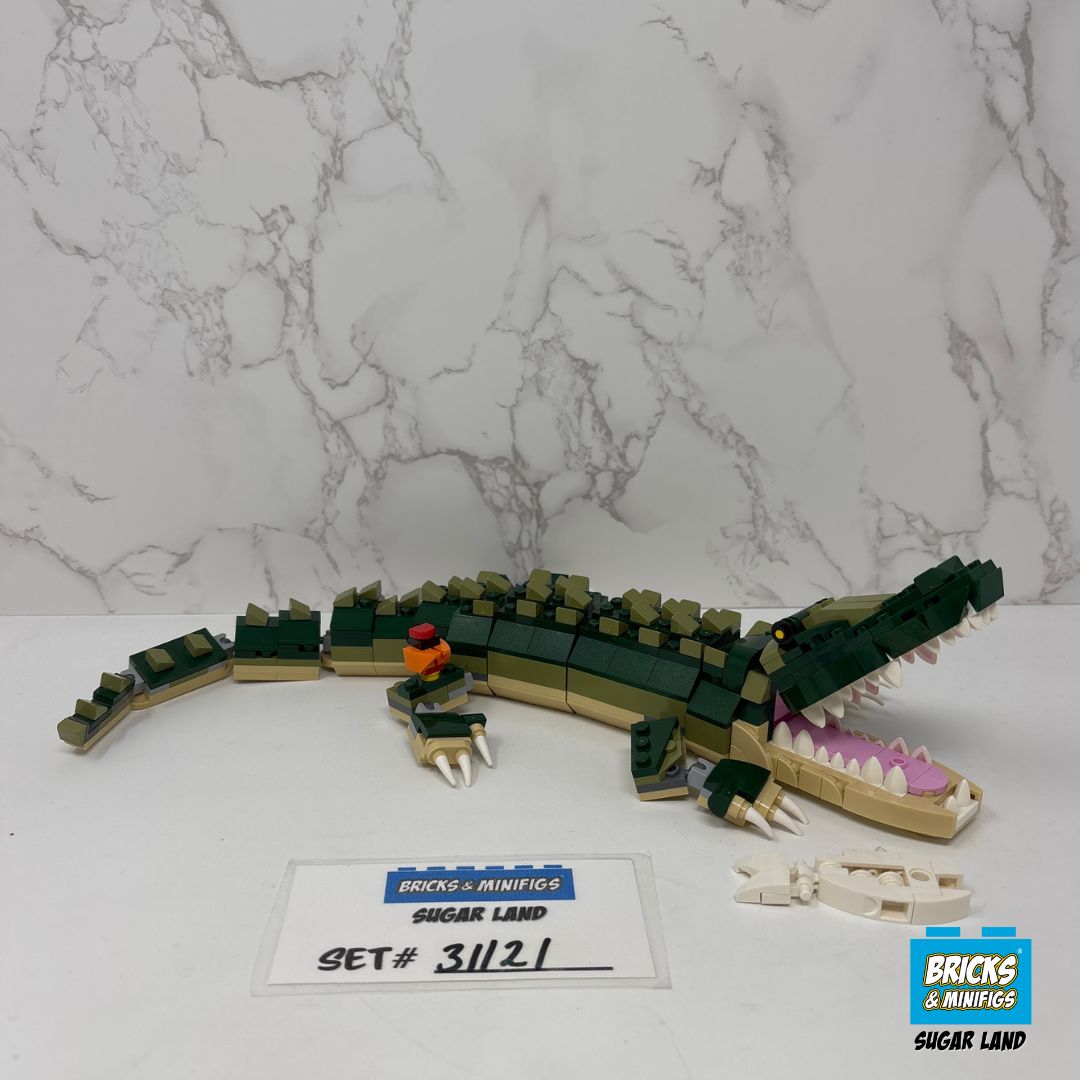 31121 - Crocodile (U)