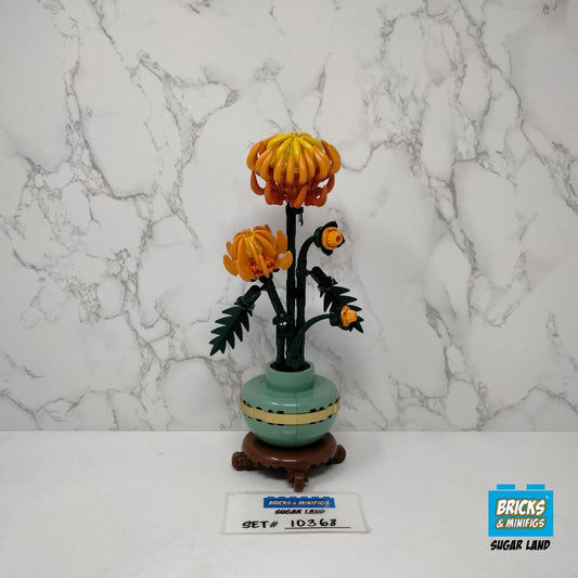 10368 - Chrysanthemum (U)