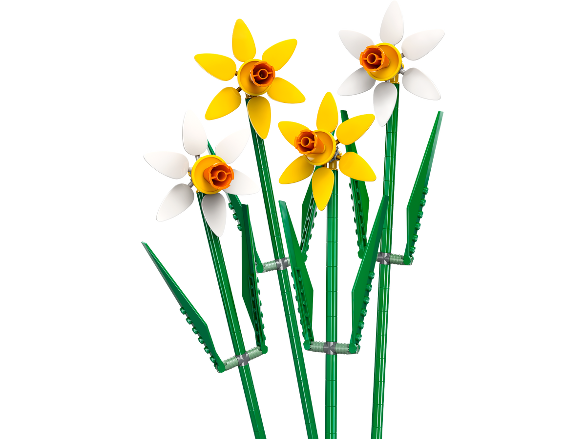 40747 - Daffodils (R)