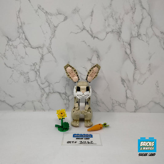31162 - Cute Bunny (U1)