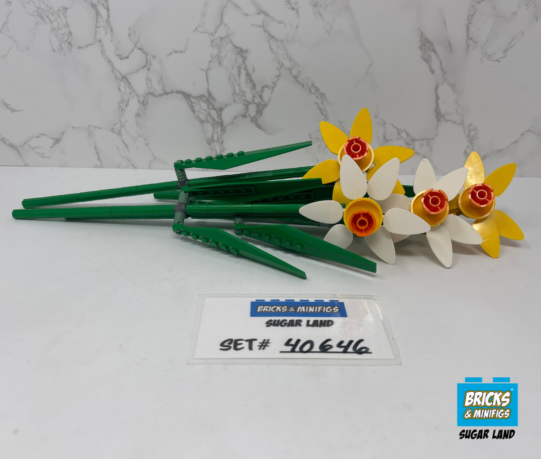 40646 - Daffodils (U)
