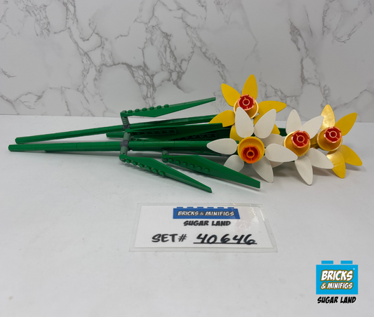 40646 - Daffodils (U)