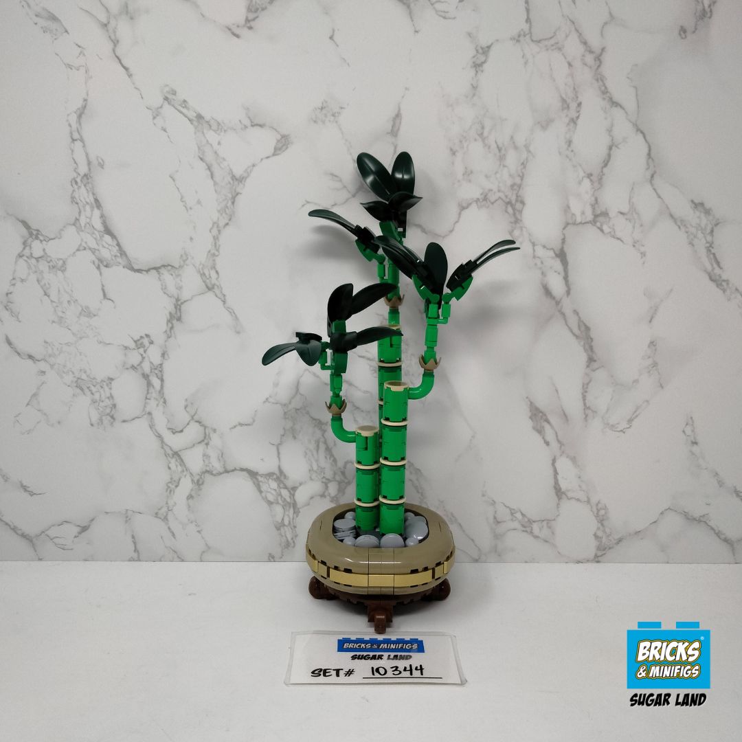 10344 - Lucky Bamboo (U)
