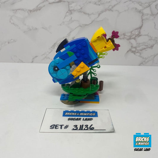 31136 - Exotic Parrot (U1B)