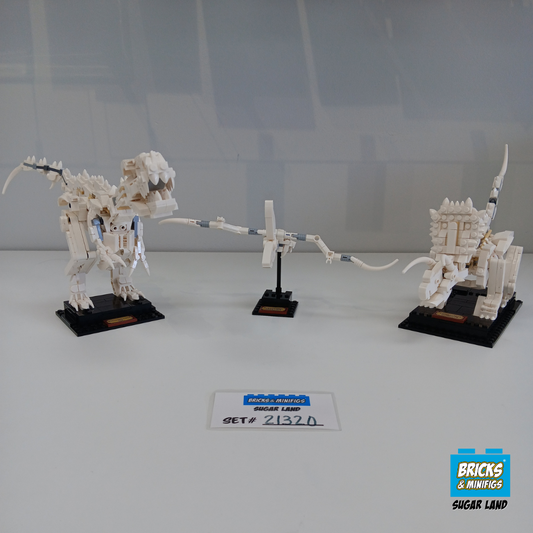 21320 - Dinosaur Fossils (U1)