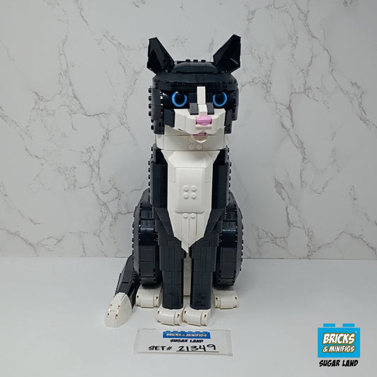 21349 - Tuxedo Cat (U)