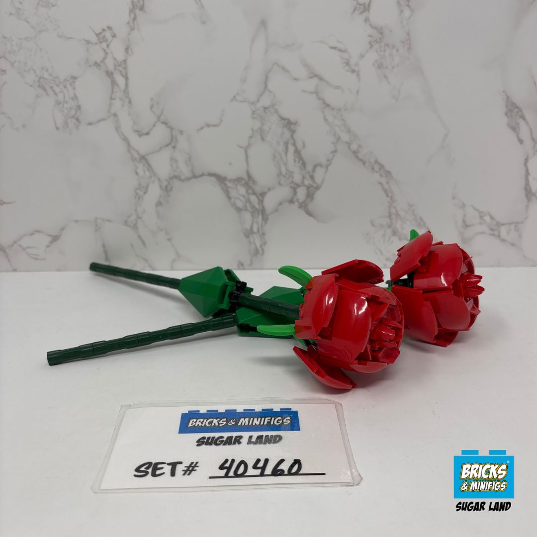 40460 - Roses (U)