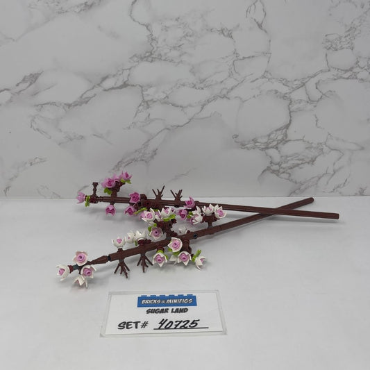 40725 - Cherry Blossoms (U)
