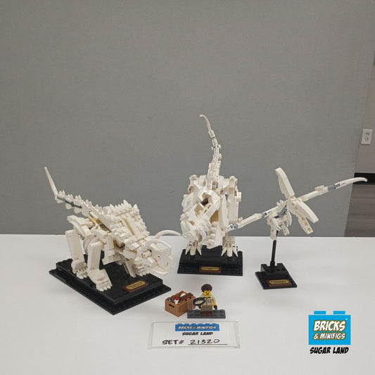 21320 - Dinosaur Fossils (U1)
