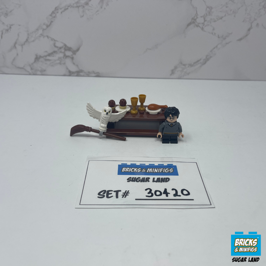 30420 - Harry Potter and Hedwig Owl Delivery (U)