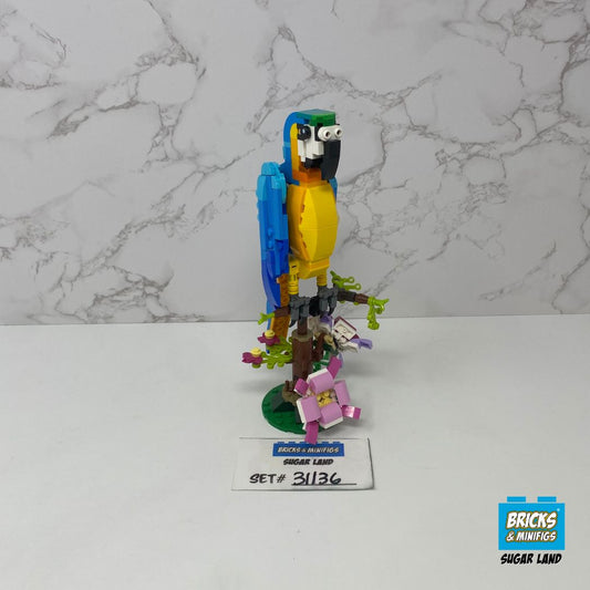 31136 - Exotic Parrot (U1A)