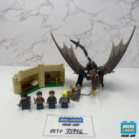 75946 - Hungarian Horntail Triwizard Tournament (U)